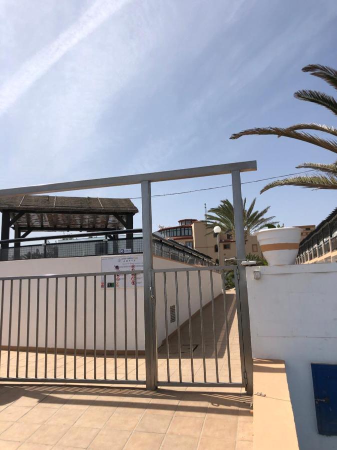 Apartamento La Tortuga Complex Amaya Fuerteventura Daire Costa De Antigua Dış mekan fotoğraf